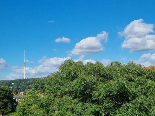 Wohnung zur Miete 596 € 3 Zimmer 62,8 m² 4. Geschoss frei ab 01.08.2026 Wilischstraße 18 Tolkewitz/Seidnitz-Nord Dresden / Tolkewitz 01279