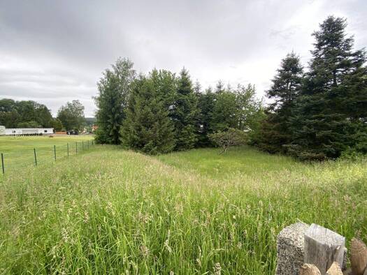 Sonstiges zum Kauf 69.000 € 1.000 m² Grundstück Auerbach 08209