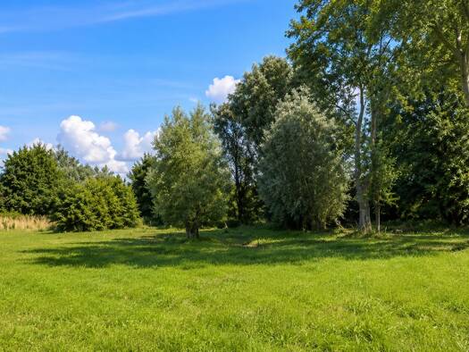 Grundstück zum Kauf 135.000 € 933 m² Grundstück Rambin Rambin 18573