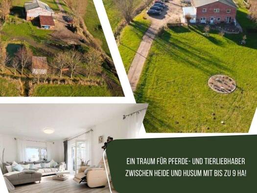 Haus zum Kauf 496.000 € 9 Zimmer 220 m² 21.479 m² Grundstück Schlichting 25779