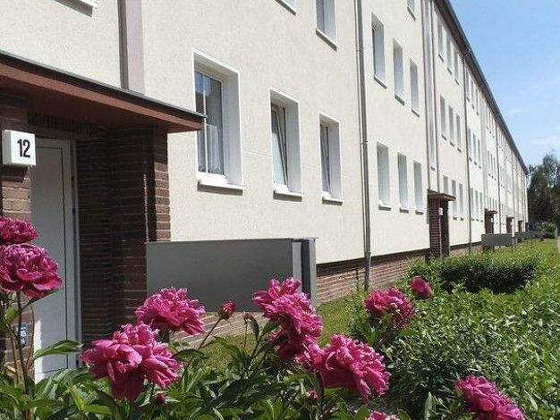 Wohnung zur Miete 470 € 2 Zimmer 62 m² EG frei ab 01.05.2026 Stadtfeld West Magdeburg 39110