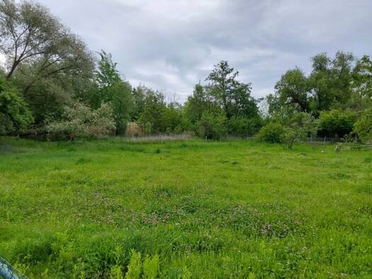 Grundstück zum Kauf 72.300 € 964 m² Grundstück Lindenplatz 4 Haselbach 04617