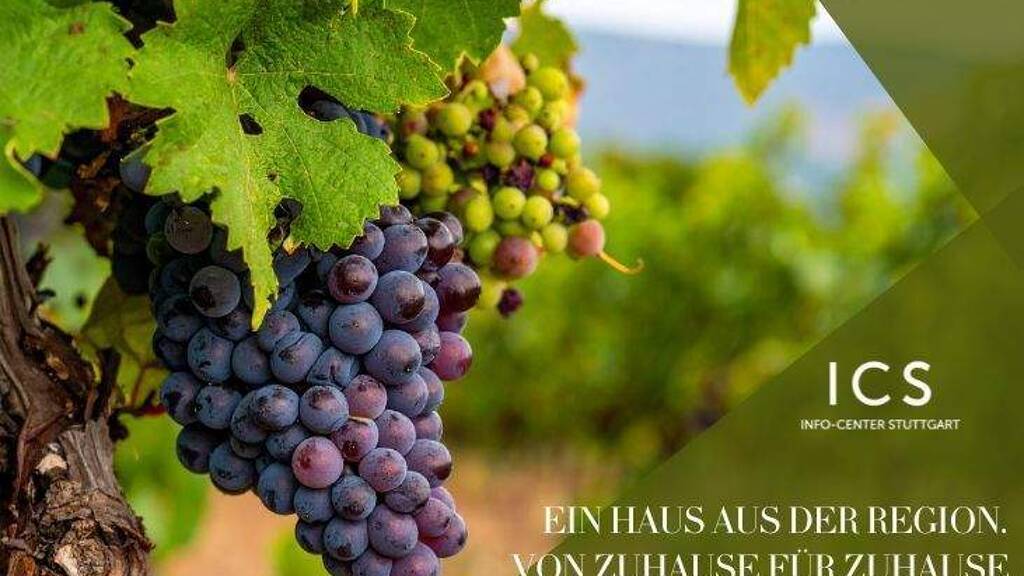 Einfamilienhaus zum Kauf provisionsfrei 890.000 € 5 Zimmer 224 m² 350 m² Grundstück Grunbach Remshalden 73630