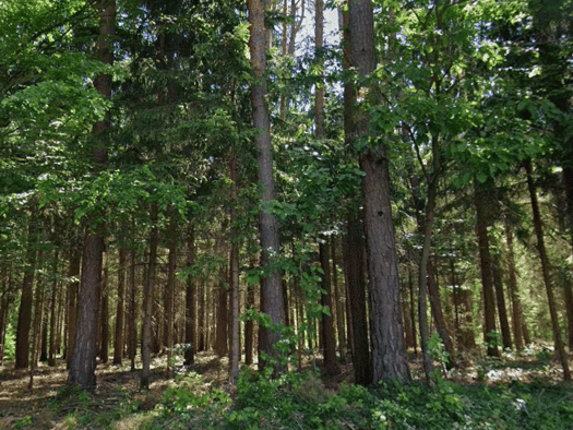 Land-/Forstwirtschaft zum Kauf 1,60 € 18.814 m² Grundstück Litzelsdorf 7532
