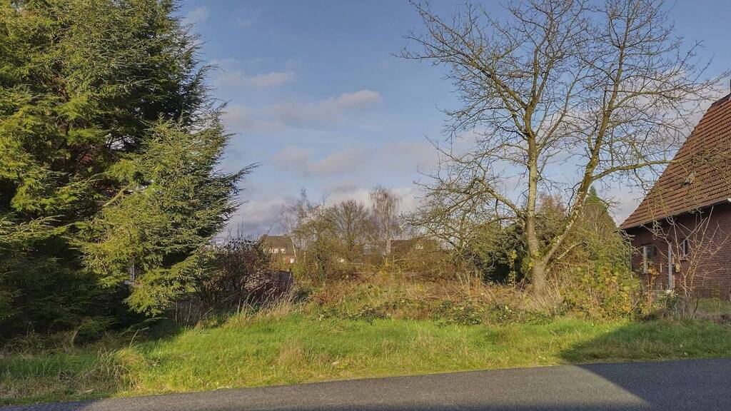 Grundstück zum Kauf 79.000 € 771 m² Grundstück Bollenweg 14 Hohne Lengerich 49525
