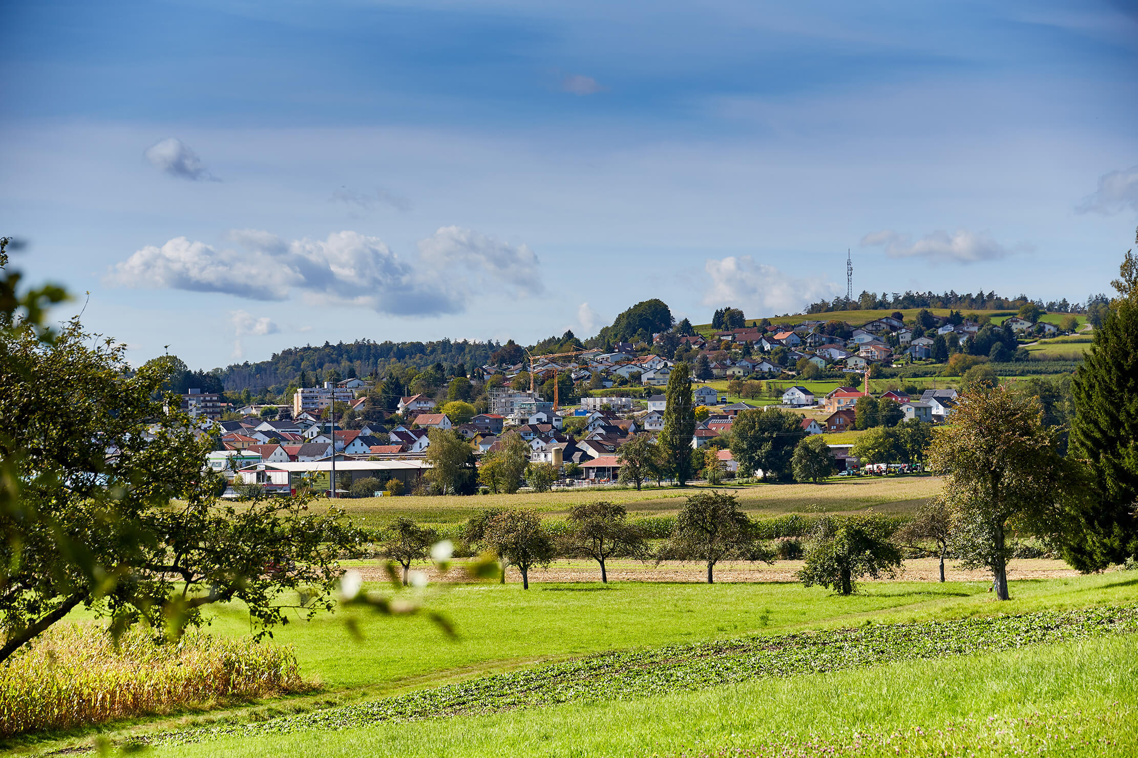 Wohnung zur Miete 1.000 € 3 Zimmer 81 m²<br/>Wohnfläche UG<br/>Geschoss 01.04.2025<br/>Verfügbarkeit Joseph-Weisshaarstrasse 25 Lottstetten Lottstetten 79807