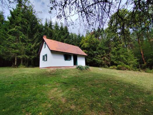 Bauernhaus zum Kauf 102.500 € 1 Zimmer 45 m² 2.229 m² Grundstück frei ab sofort Apátistvánfalva 9982