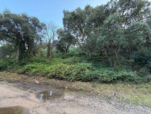 Acker-/Waldstück zum Kauf 175.000 € Castell-Platja d'Aro 17249