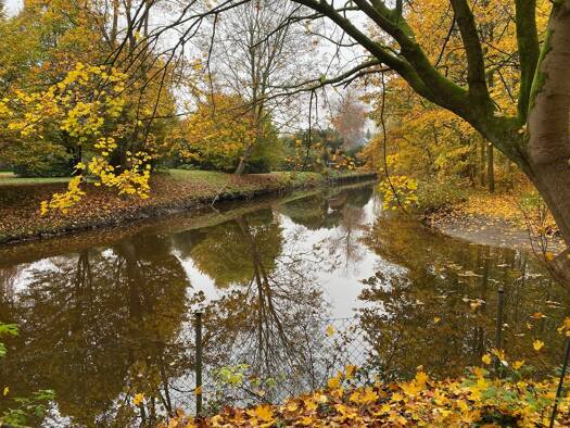 Einfamilienhaus zum Kauf provisionsfrei 1.735.000 € 11 Zimmer 394,9 m² 1.793 m² Grundstück frei ab sofort Mühlendamm 17 b Elmshorn 25337