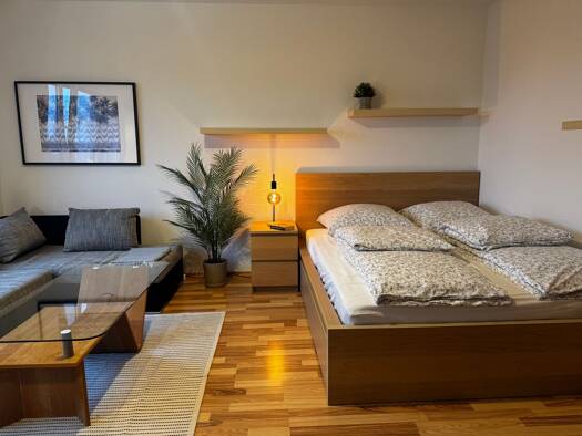 Wohnung zur Miete 550 € 1 Zimmer 39 m² Geschoss 4/5 frei ab sofort Gaußstraße 10 Schwetzingerstadt Mannheim 68165