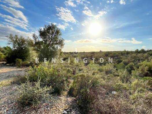 Freizeitgrundstück zum Kauf provisionsfrei 450.000 € 7.500 m² Grundstück Puntiró 07199