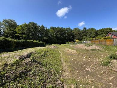 Grundstück zum Kauf 688.000 € 1.600 m² Grundstück Prisdorf 25497