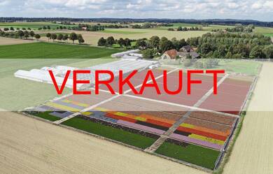 Land-/Forstwirtschaft zum Kauf 599.000 € 38.922 m² Grundstück Louisendorf Bedburg-Hau 47551