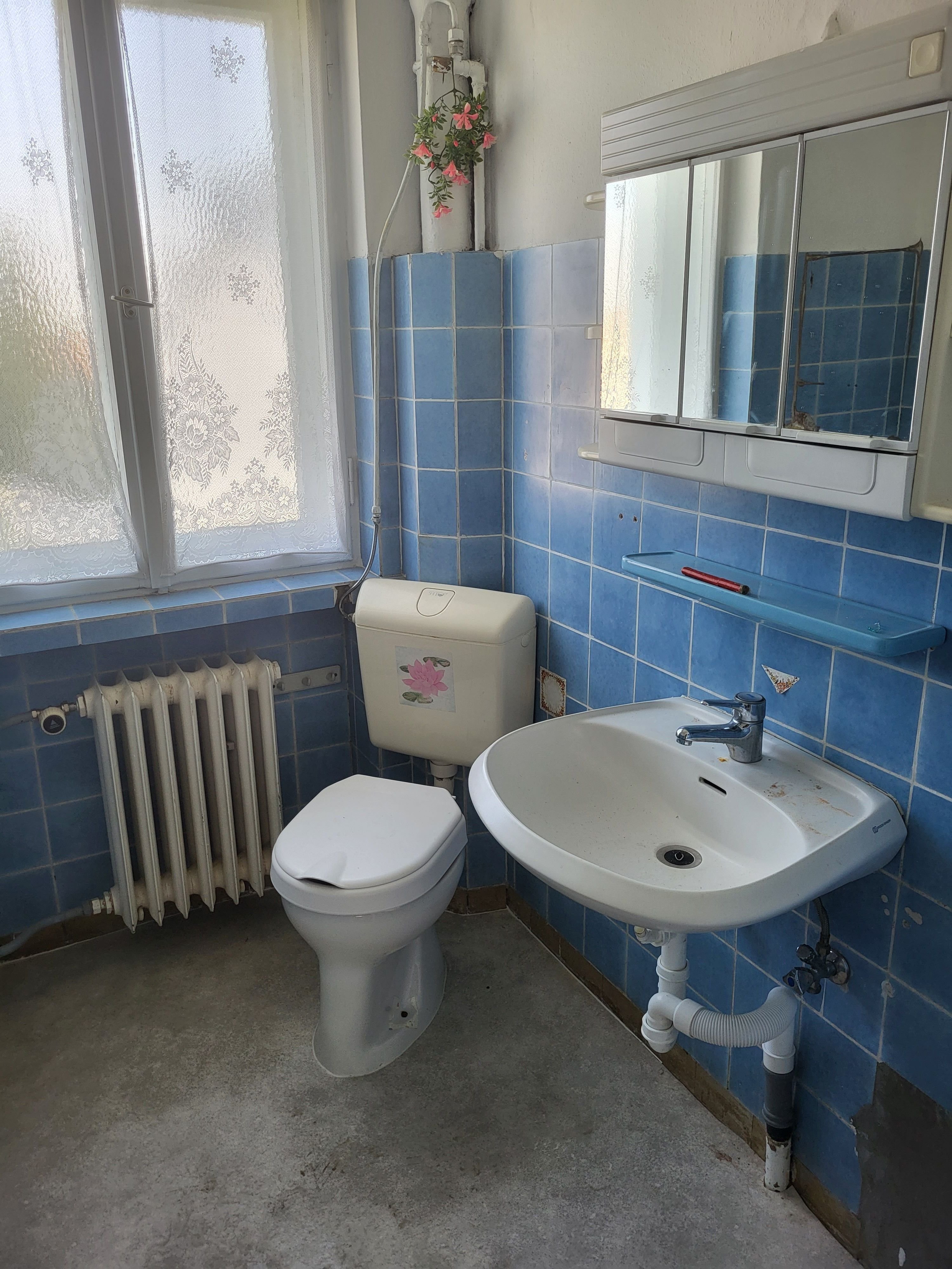 Doppelhaushälfte zum Kauf 500.000 € 5 Zimmer 115 m²<br/>Wohnfläche 500 m²<br/>Grundstück Löbervorstadt Erfurt 99096