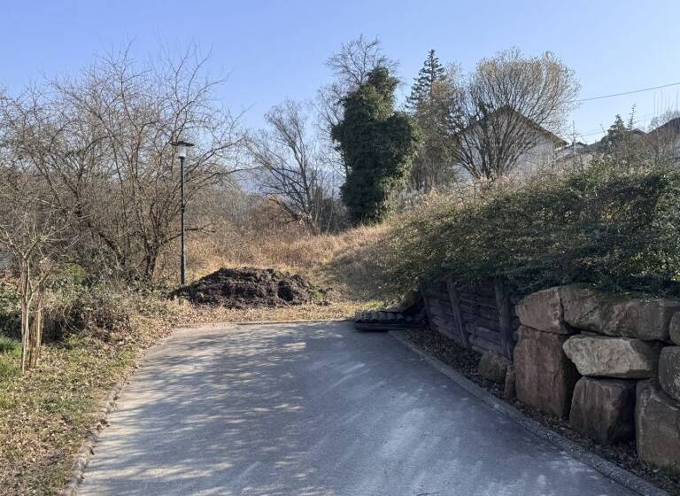 Grundstück zum Kauf 725.000 € 1.434 m²<br/>Grundstück Haueneberstein Baden-Baden 76534