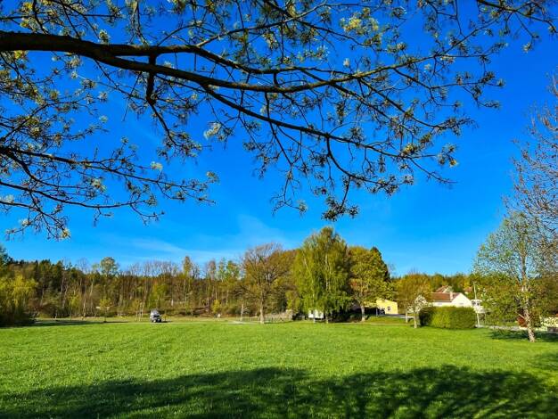 Einfamilienhaus zum Kauf 230.000 € 3 Zimmer 74,7 m² 2.160 m² Grundstück Am Sportplatz 1 Ringenhain 01904