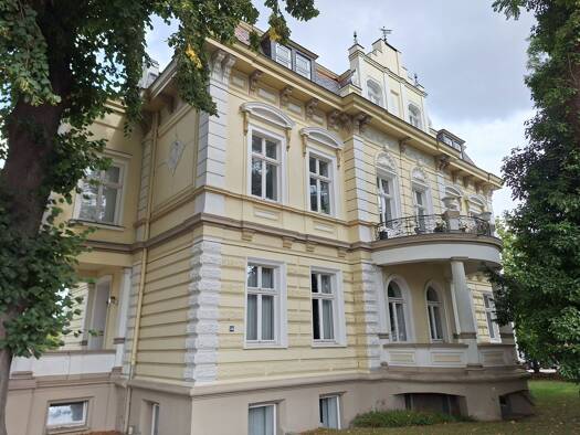 Mehrfamilienhaus zum Kauf 1.550.000 € 16 Zimmer 731,5 m² 1.458 m² Grundstück Nördliche Mühlenvorstadt Greifswald 17489