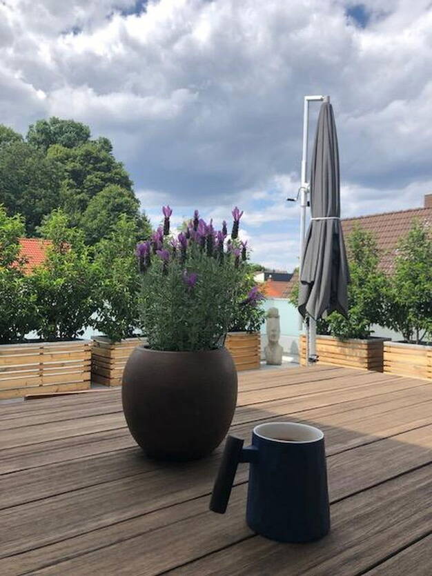 Penthouse zum Kauf provisionsfrei 4 Zimmer 170 m² 2. Geschoss Sanddorf Homburg 66424