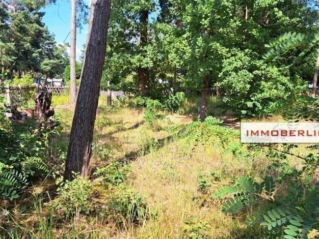 Grundstück zum Kauf 180.000 € 897 m² Grundstück Klausdorf Am Mellensee 15838