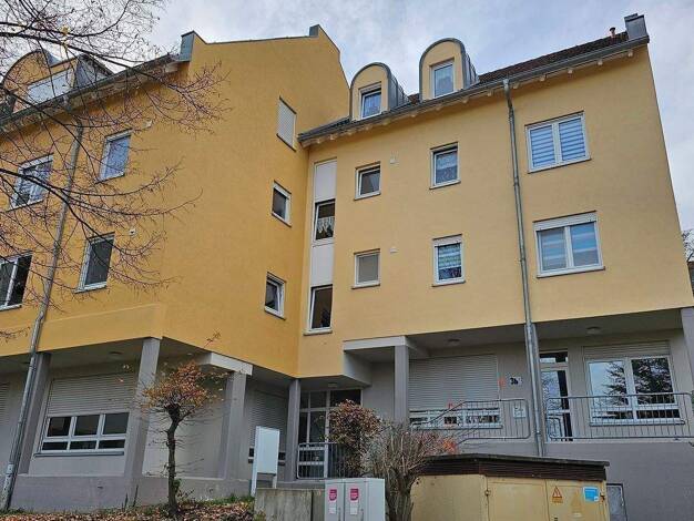Wohnung zur Miete 300 € 1 Zimmer 46,2 m² EG Siedlerstr. 3a Meißen 01662