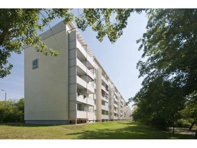 Wohnung zur Miete 545 € 2 Zimmer 51 m² Geschoss 4/5 frei ab sofort Westliche Neustadt Halle (Saale) 06124