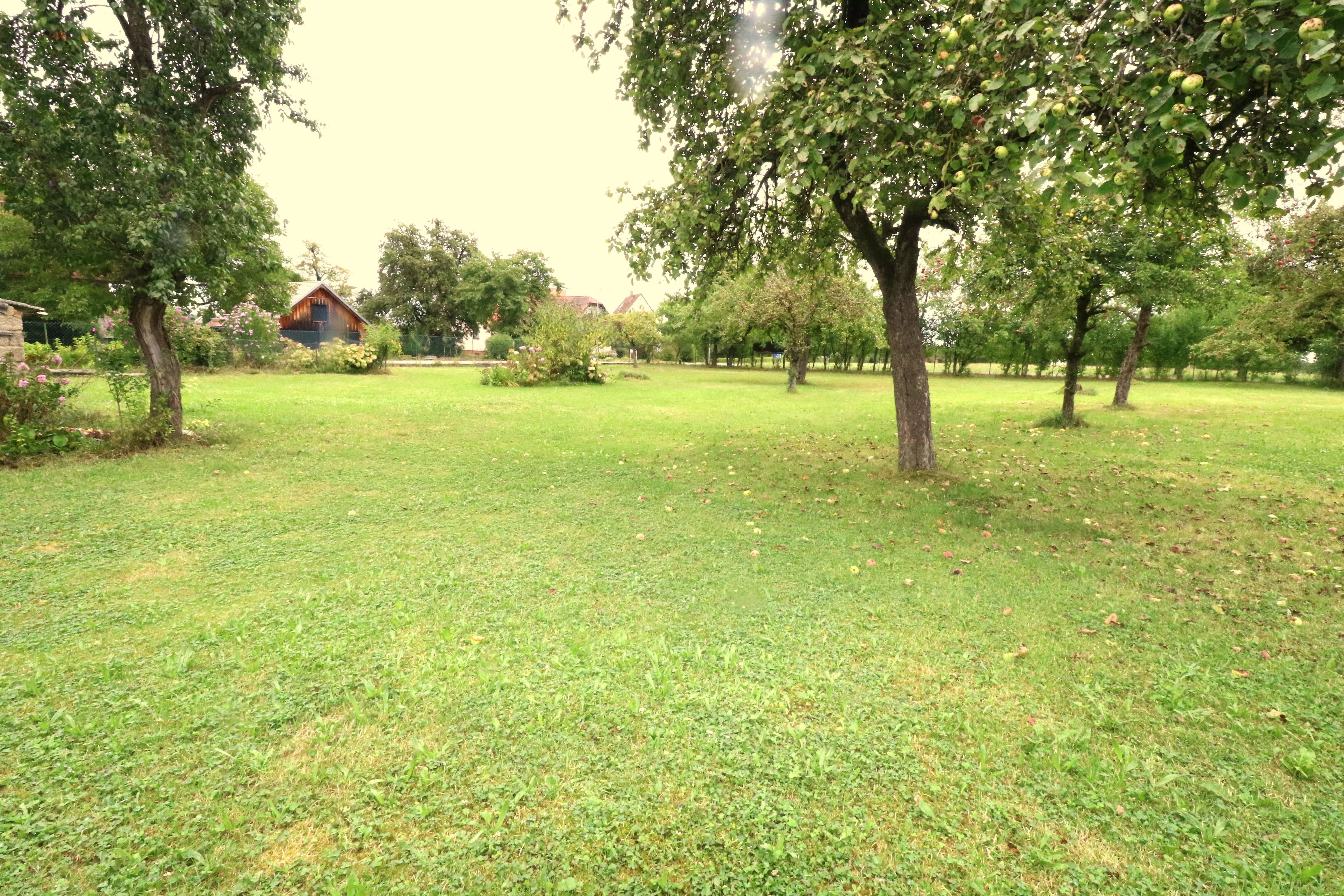 Bauernhaus zum Kauf 2.310 m²<br/>Grundstück Seißen Blaubeuren 89143