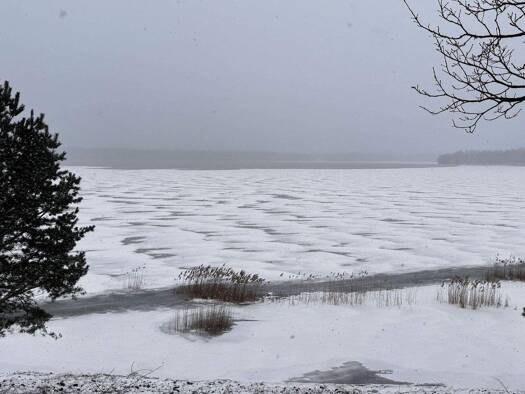 Wohnung zur Miete 380 € 2 Zimmer 58 m² 2. Geschoss Burghammer Spreetal 02979