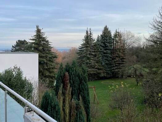 Wohnung zum Kauf provisionsfrei 248.000 € 3,5 Zimmer 95 m² Geschoss 1/2 Alfter 53347