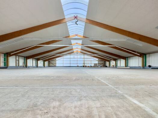 Lagerhalle zur Miete provisionsfrei 4,80 € 2.200 m² Lagerfläche teilbar von 300 m² bis 2.000 m² Arnsdorf 01477