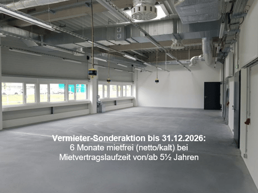 Produktionshalle zur Miete provisionsfrei 14 € 708 m² Lagerfläche Adlershof Berlin 12489