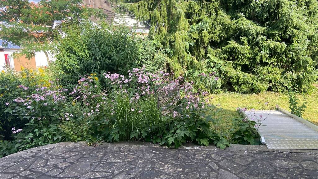 Einfamilienhaus zum Kauf 525.000 € 7 Zimmer 155 m² 1.000 m² Grundstück Bammersdorf Eggolsheim 91330