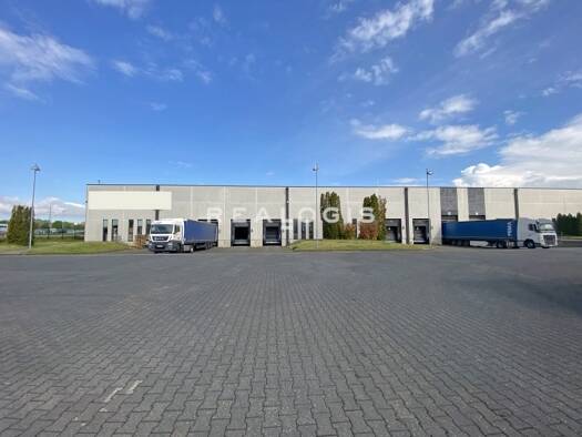 Halle/Industriefläche zur Miete provisionsfrei 14.602 m² Lagerfläche Kerpen 50170