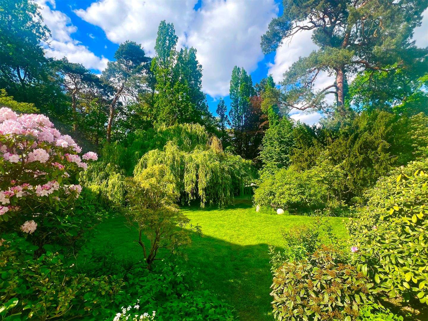 Property thumbnail 5