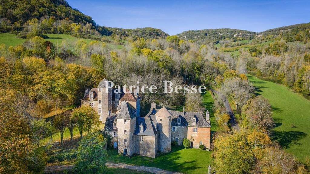 Schloss zum Kauf 1.150.000 € 3 Zimmer 700 m² 210.000 m² Grundstück Arsonval Brive-la-Gaillarde 19100