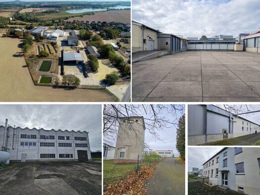 Produktionshalle zum Kauf 1.900.000 € 13.000 m² Lagerfläche Mutzschen Grimma 04688