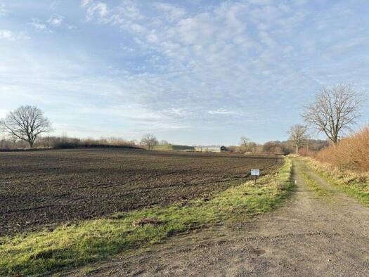 Land-/Forstwirtschaft zum Kauf 89.000 € 26.856 m² Grundstück Gammelby 24340