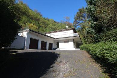 Einfamilienhaus zum Kauf 805.000 € 9 Zimmer 238 m² 4.537 m² Grundstück Talstr. 213 Schriesheim Schriesheim 69198