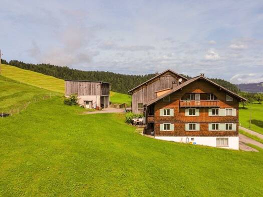 Land-/Forstwirtschaft zum Kauf 4.000 m² 43.287 m² Grundstück Hinteregg 225 Hittisau 6952