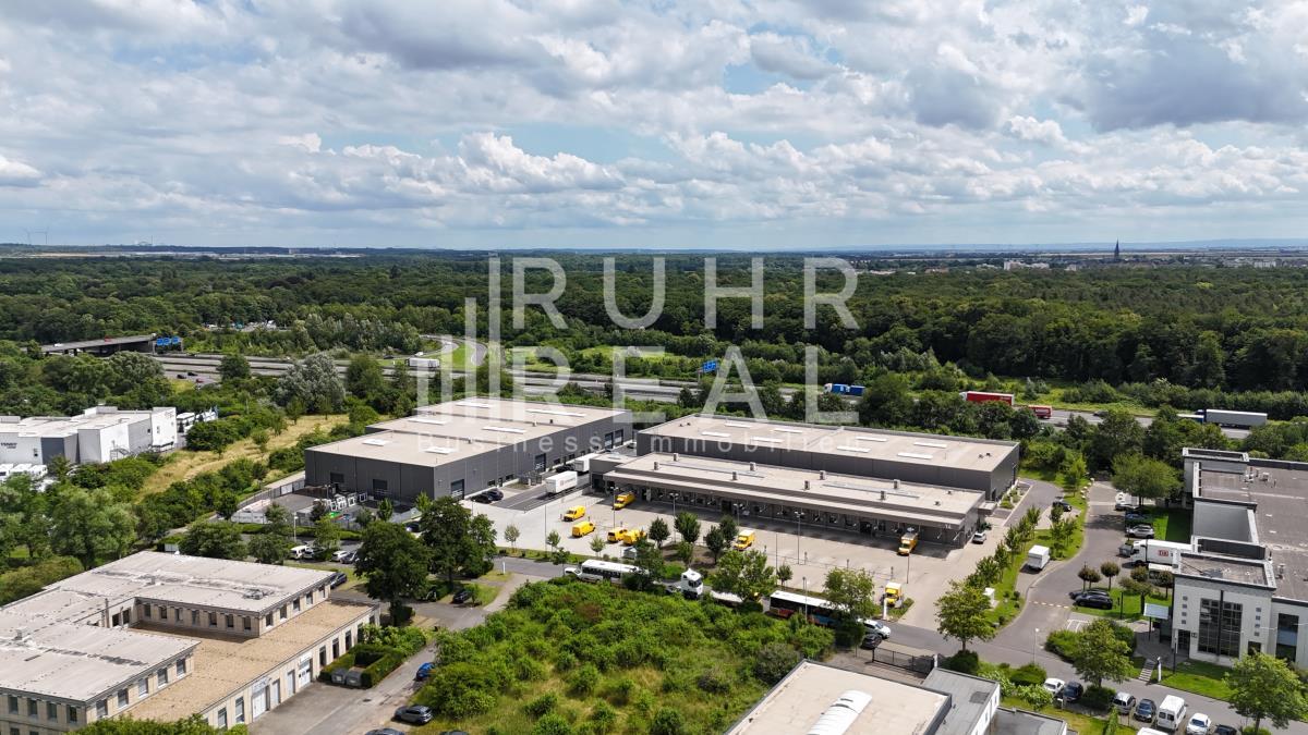 Halle/Industriefläche zur Miete provisionsfrei 3.400 m²<br/>Lagerfläche ab 568 m²<br/>Teilbarkeit Kerpen Kerpen 50170