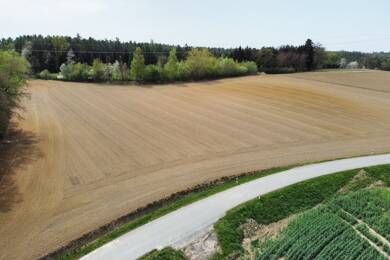 Landwirtschaftliche Fläche zum Kauf 283.000 € 16.693 m² Grundstück Altersberg Reisbach 94419