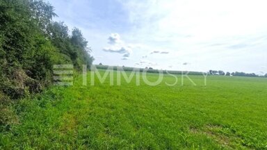 Grundstück zum Kauf 5.567 m² Grundstück Neunheim Ellwangen (Jagst) 73479