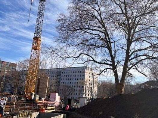 Wohnung zum Kauf provisionsfrei 707.000 € 4 Zimmer 101 m² 2. Geschoss frei ab 01.12.2026 Südvorstadt-West Dresden 01069