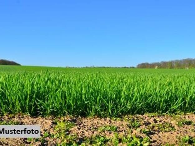 Land-/Forstwirtschaft zum Kauf 122.700 € 54.267 m² Grundstück Gondorf Kobern-Gondorf 56330