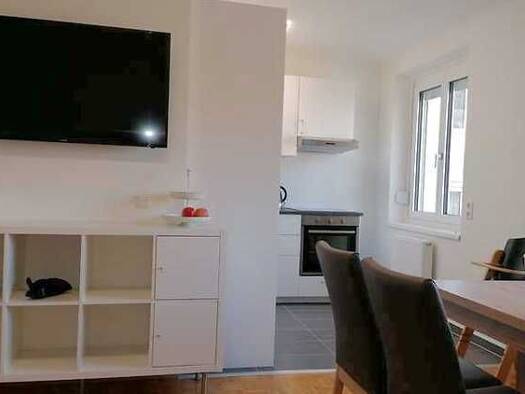 Wohnung zur Miete auf Zeit 1.980 € 3 Zimmer 65 m² frei ab 01.02.2027 Hietzing 1130