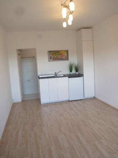 Wohnung zur Miete 395 € 1 Zimmer 24 m² EG Lengfeld Würzburg 97076