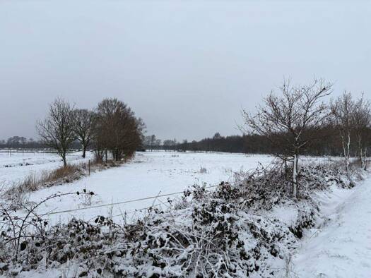 Land-/Forstwirtschaft zum Kauf 88.000 € 43.526 m² Grundstück Aurich-Oldendorf Großefehn 26629