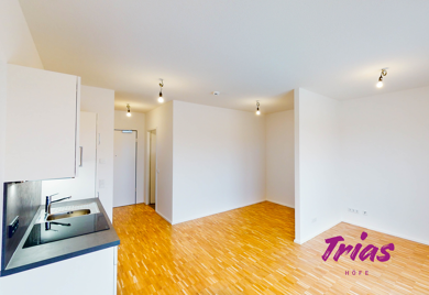 Wohnung zur Miete 670 € 1 Zimmer 32,3 m² 3. Geschoss frei ab 01.07.2025 Walter-Hallstein-Straße 18c Weisenau Mainz 55130