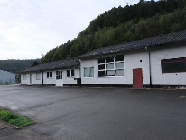 Lagerhalle zur Miete provisionsfrei 300 m² Lagerfläche Rodalben 66976