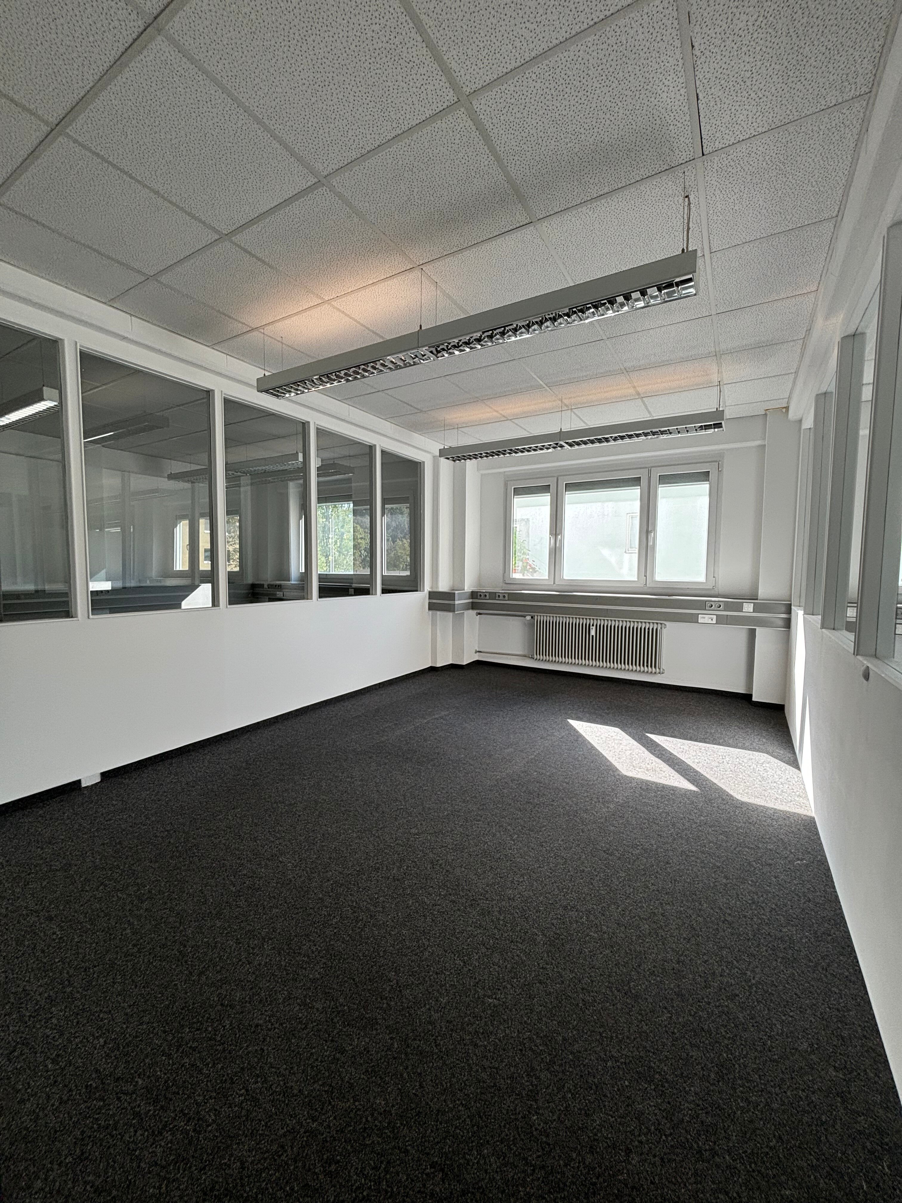 Büro-/Praxisfläche zur Miete 2.000 € 6 Zimmer 172 m²<br/>Bürofläche Am Riesenfeld München 80809