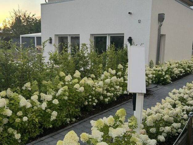 Einfamilienhaus zum Kauf provisionsfrei 649.000 € 6,5 Zimmer 212 m² 841 m² Grundstück Räbke Räbke 38375